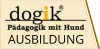 dogik-icon-ausbildung